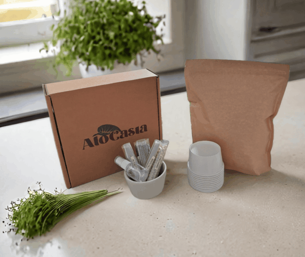 Kit Microgreens